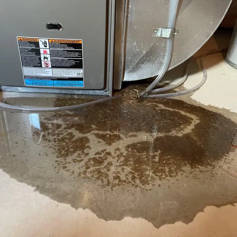 Appliance Leak Cleanup in Walkerton, IN